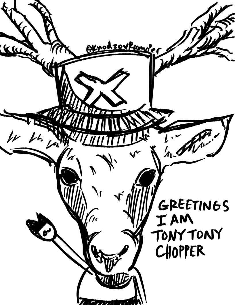 Chopper IRL