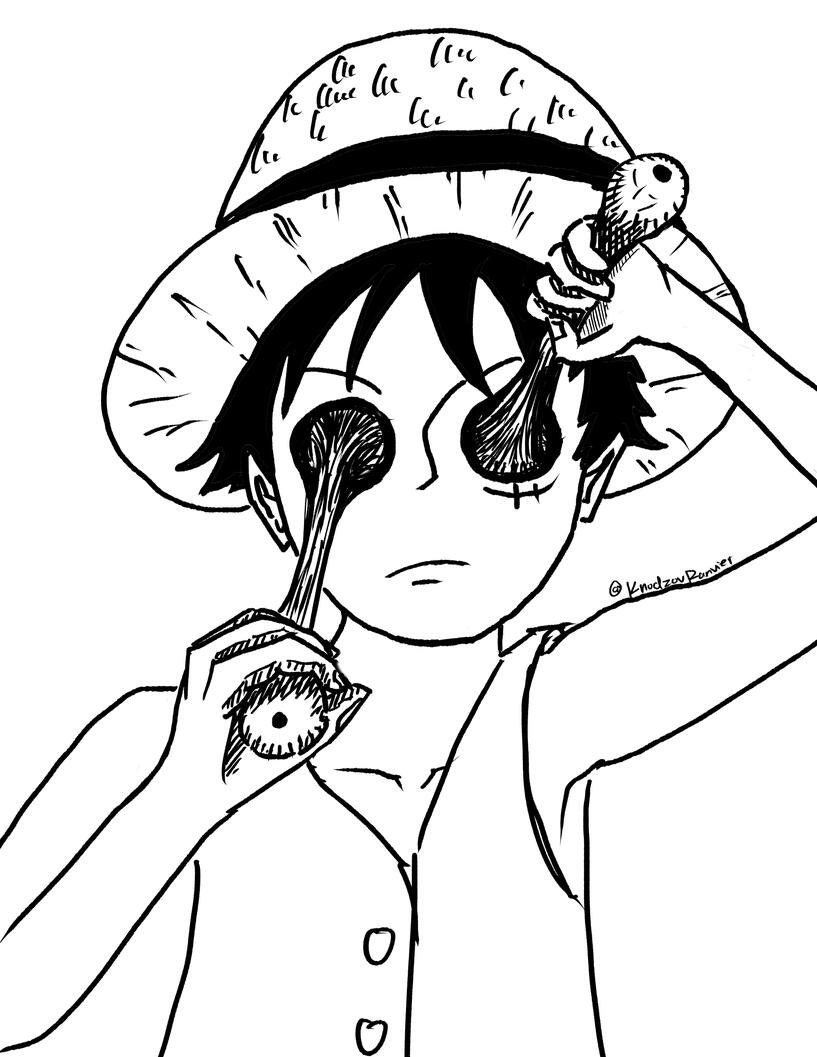 seeing-eye luffy