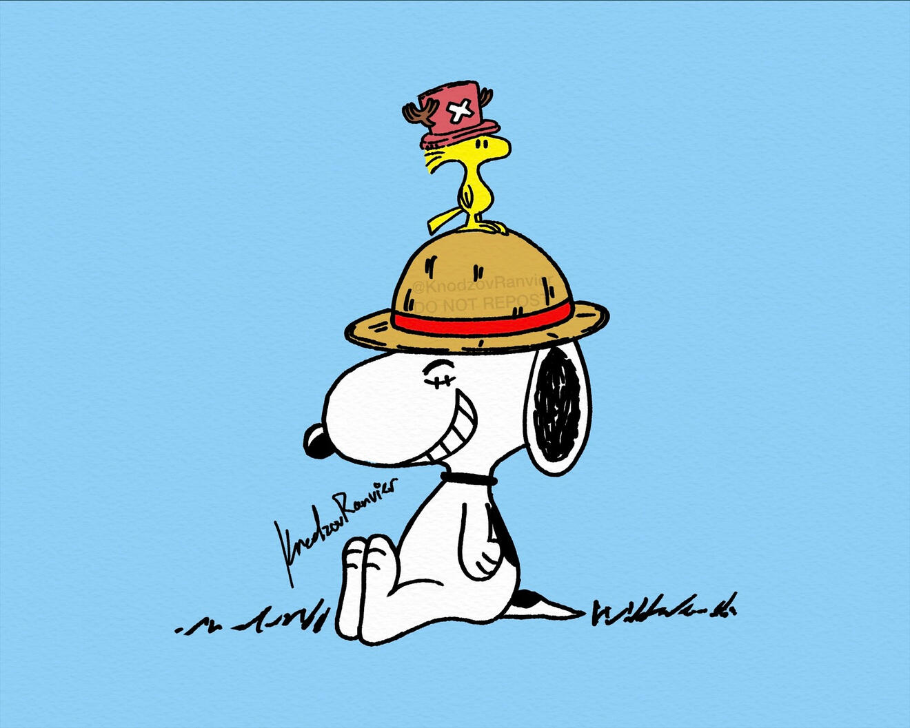 One Piece x Peanuts