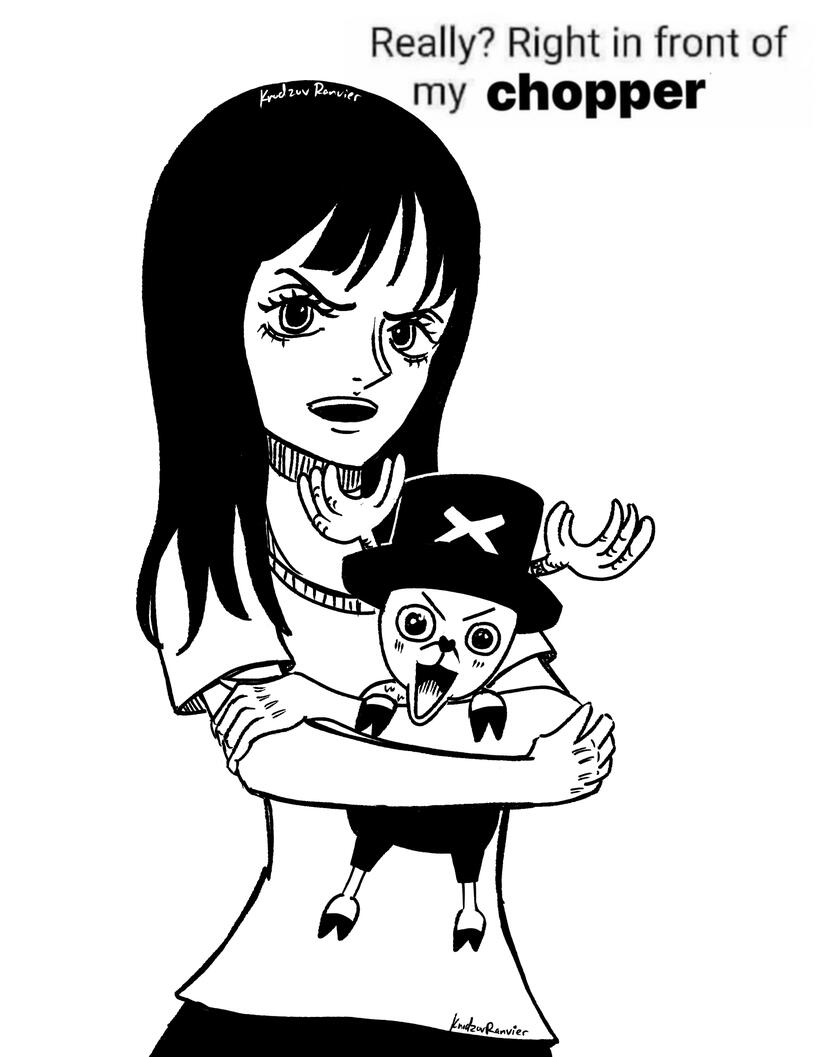 robin and chopper